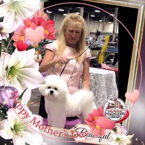 Meet your Posher, Paulette